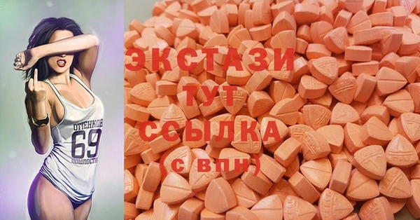 хмурый Абаза