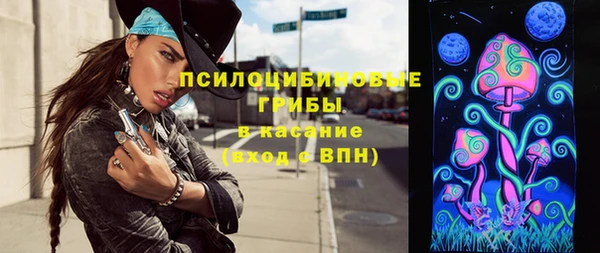 хмурый Алексеевка