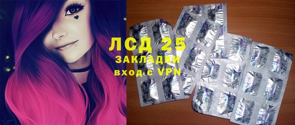 хмурый Абаза
