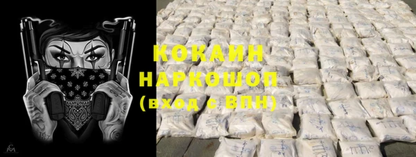 хмурый Абаза