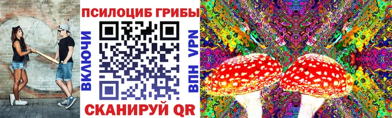Псилоцибиновые грибы Psilocybe  Дрезна 